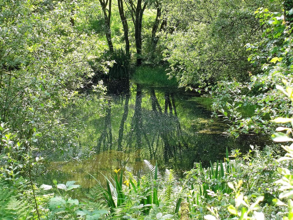 Ffynnon Fendigaid Bed And Breakfast Aberporth Bagian luar foto