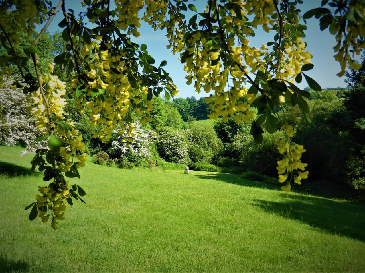 Ffynnon Fendigaid Bed And Breakfast Aberporth Bagian luar foto