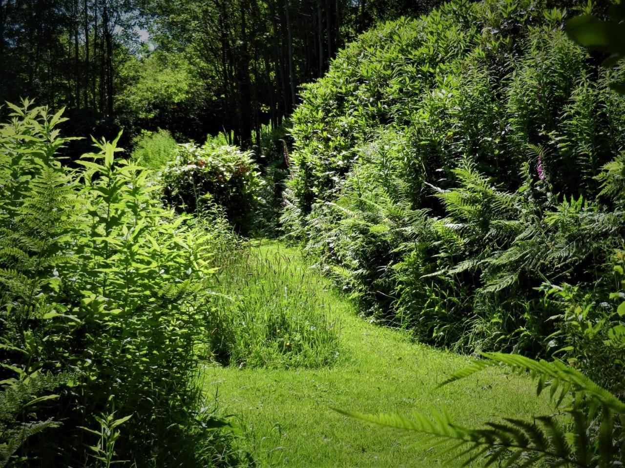 Ffynnon Fendigaid Bed And Breakfast Aberporth Bagian luar foto