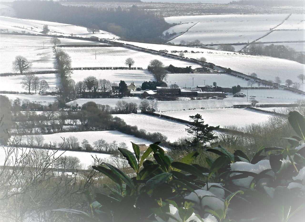 Ffynnon Fendigaid Bed And Breakfast Aberporth Bagian luar foto