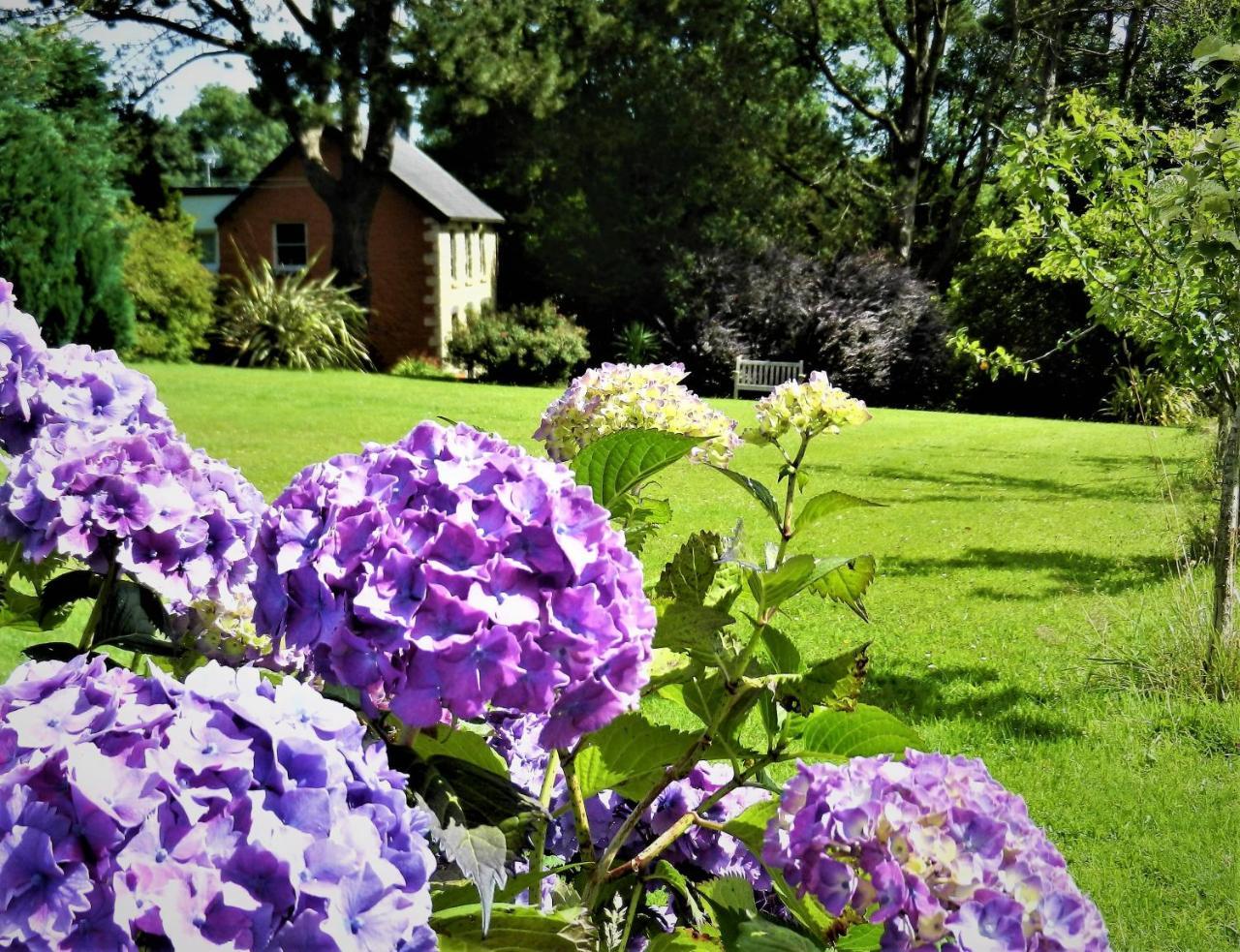 Ffynnon Fendigaid Bed And Breakfast Aberporth Bagian luar foto